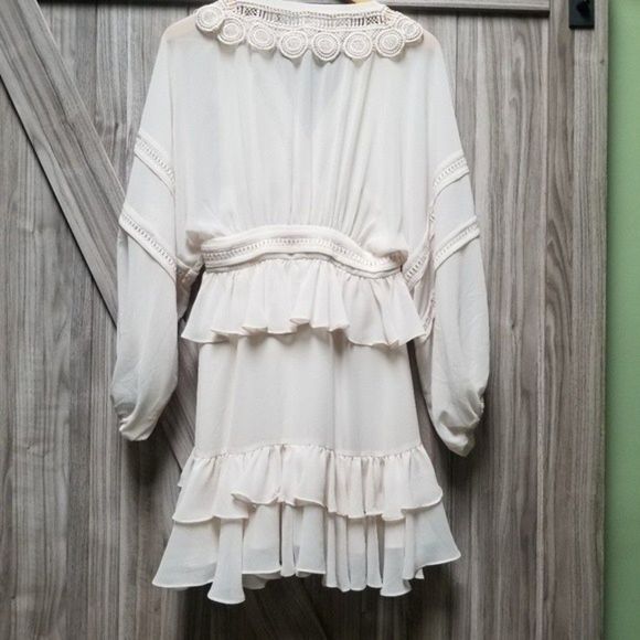 Shona Joy Rafaella Plunge-Neck Long-Sleeve Frill Sheer Mini Dress - Picture 14 of 16